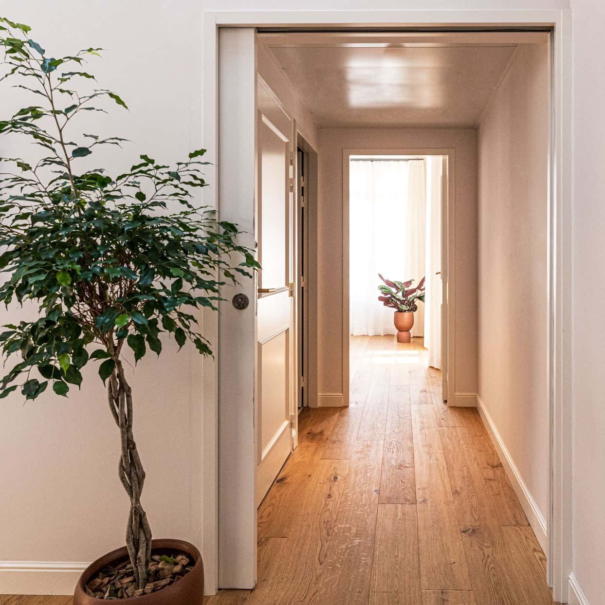 Suite — photo 12