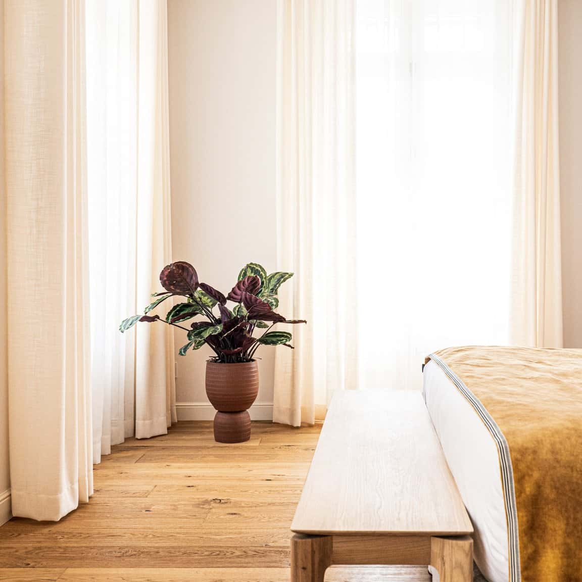 Suite — photo 14