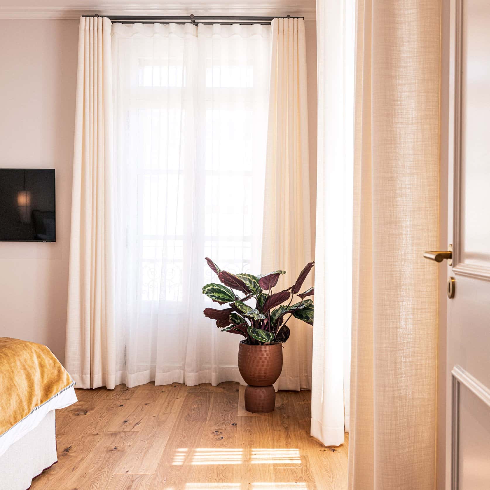Suite — photo 6
