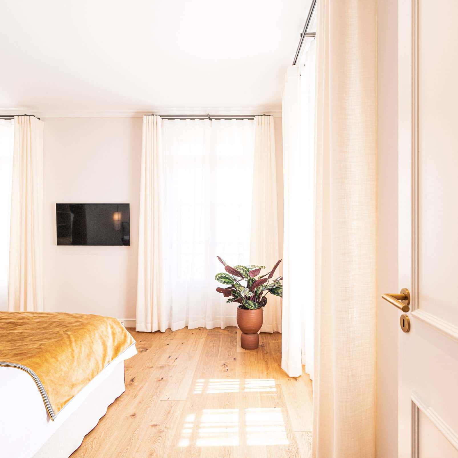 Suite — photo 7
